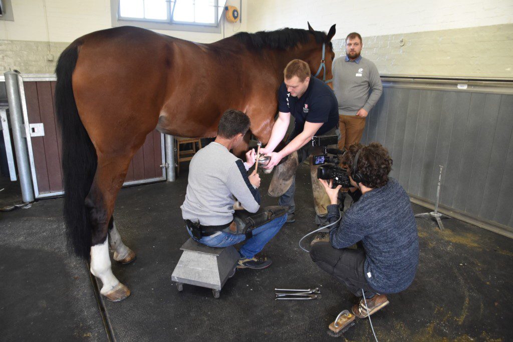 Farriertec Suisse: Hufbeschlag zwischen Tradition und Digitalisierung.