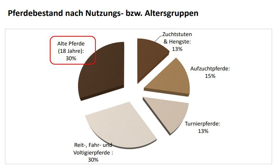 Herausforderungen in der Pferdebranche und die Rolle des «Kavallo»