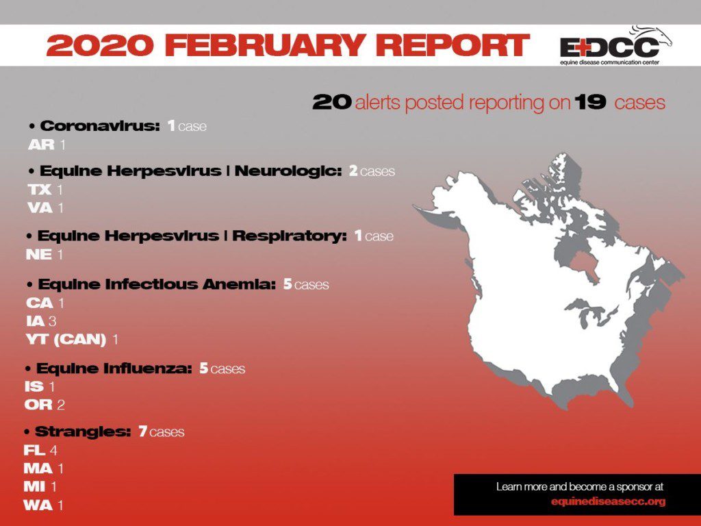 Die Übersicht des US-amerikanischen Equine Disease Communication Center zeigt eine Corona-Virus-Erkrankung beim Pferd an.