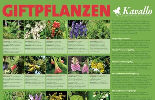Giftpflanzen-Plakat