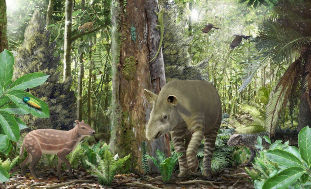 Künstlerische Darstellung des Ökosystems im Geiseltal vor 47 Millionen Jahren: Urpferd Propalaeotherium links, dem frühen Tapir Lophiodon in der Mitte und einem Krokodil Bergisuchus im Hintergrund. Illustration: Márton Szabó