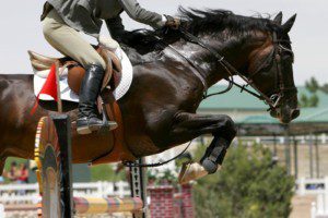 Olympia, Concours Complet, Springreiten