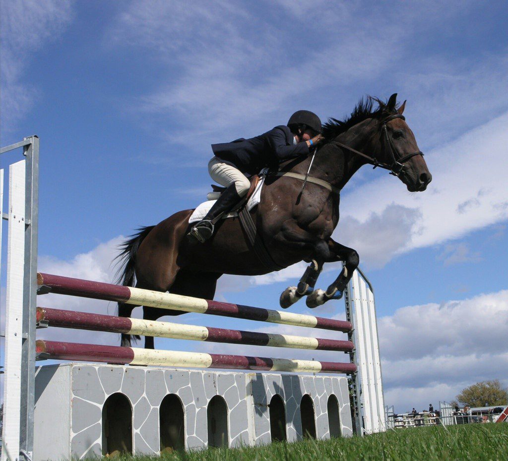 Nachwuchskader Springsport Schweiz. (© Can Stock Photo / Kapai)