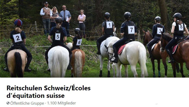 Printscreen der Facebook-Gruppe Reitschulen Schweiz.