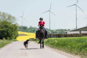 Damit das Reiten mit dem angeleinten Hund funktionieren kann, müssen die Grundlagen absolut zuverlässig sitzen. (Foto: Maresa Mader)