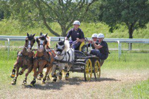 Das Fahrteam Yannik Scherrer auf dem Weg zum Sieg im Preis der Garage Krapf AG am Fahrturnier Frauenfeld 2019. (Bild Brigitte Gfeller)