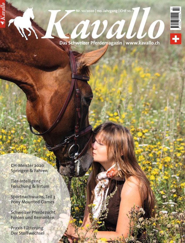 Kavallo-Ausgabe 10_2020 Reitsport, Pferdesport, Freizeitreiten, Pferdemädchen, Schweizer Pferdemagazin