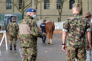 Unter der Leitung von Dr. Stéphane Montavon (l.) begutachtete die Ankaufskommission die vorgestellten Freiberger und Maultiere sorgfältig.