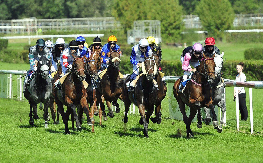 Flachrennen (Bitte Quellenangabe verwenden: Bild: Ueli Wild, horseracing.ch)