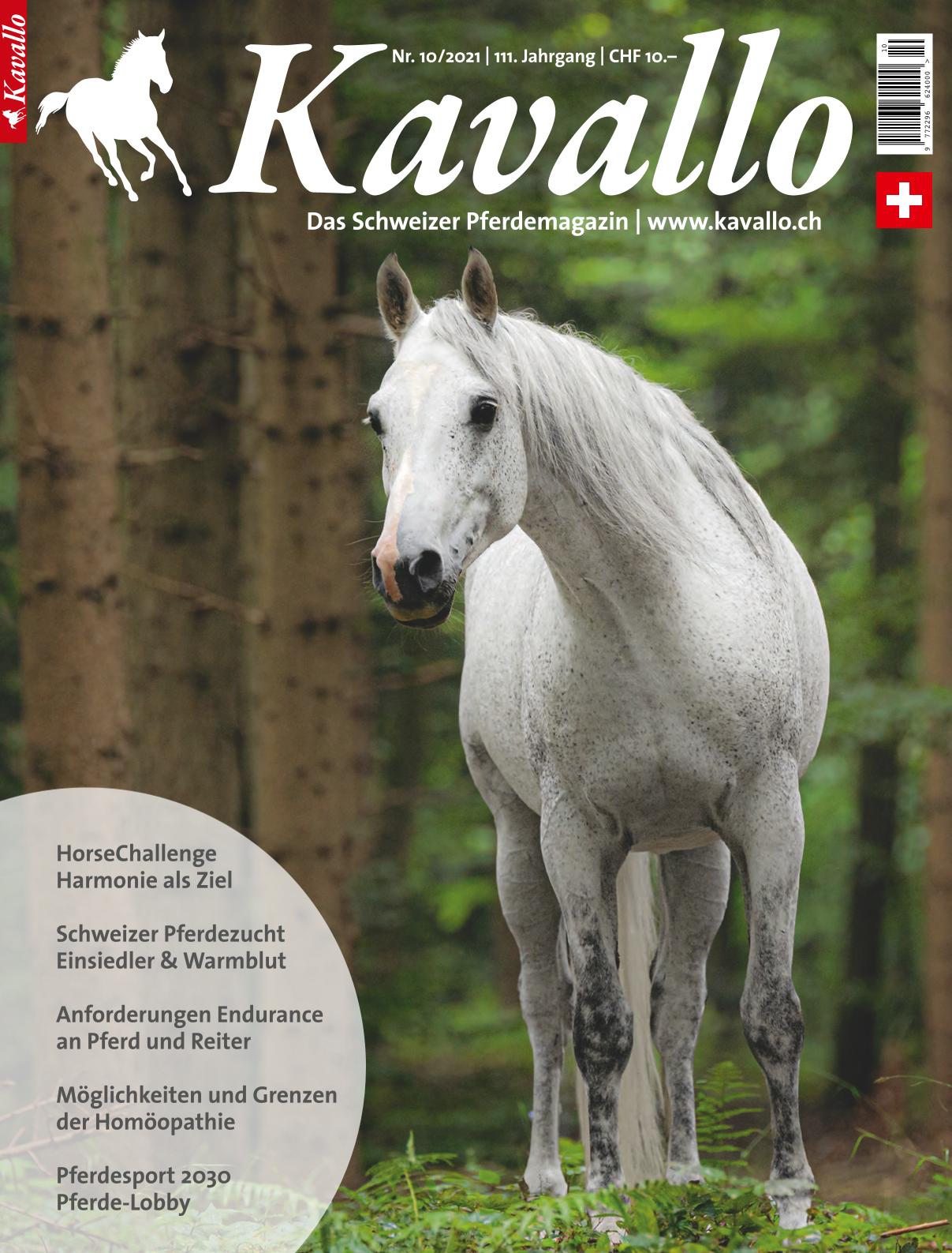 Kavallo Ausgabe 10/2021 - Grossauflage