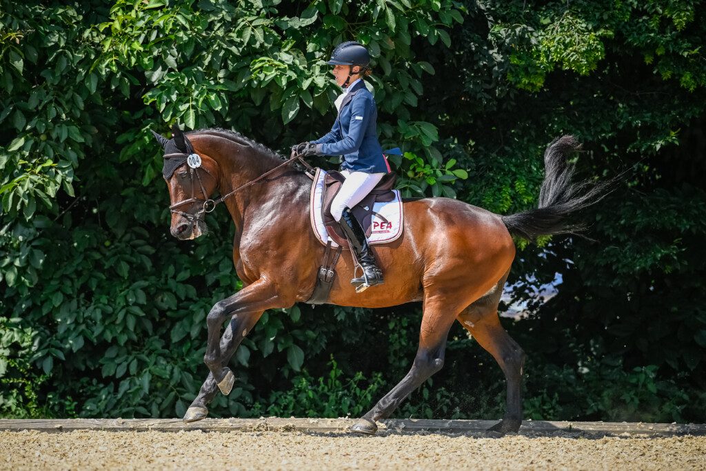 Eveline Bodenmüller mit Andreas Rüedis Watermill Giorgio RS gewinnt die KP 4*. (Fotografin Katja Stuppia, www.stuppia.com).