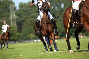 Schweizer Team an der FIP Polo Europameisterschaft in Sotogrande, Spanien