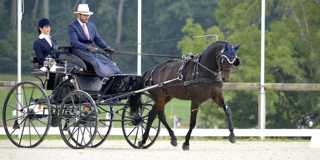 Cédric Scherrer, amtierender Weltmeister der Einspänner Pony sowie Kaderverantwortlicher und Trainer des ersten Jugendkaders Fahren. Bild: Team König