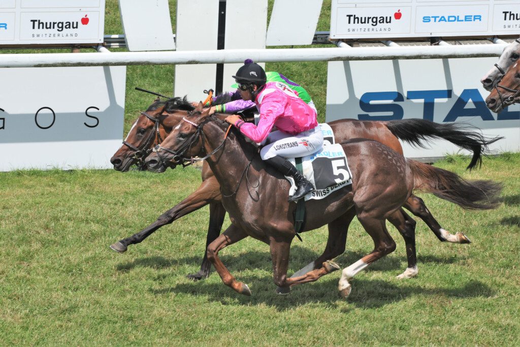 Das 42. Swiss Derby ging nach spannendem Endkampf an HELLO HOLA HAY, geritten von Martin Laube und in Tschechien trainiert von Lubos Urbanek. HELLO HOLA HAY steht im Besitz von Lokotrans s.r.o. Foto: Christian Mettler