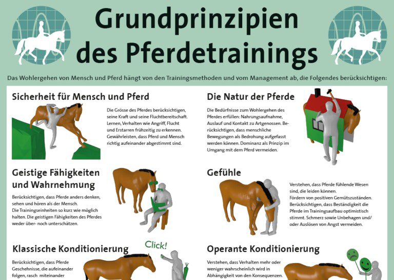 Die Prinzipien des Pferdetrainings Als Leitlinie des Umdenkens haben Pferdewissenschaftler zehn Grundsätze des Pferdetrainings erarbeitet mit dem Schwerpunkt auf der Kommunikation. Sie behandeln wissenschaftliche fundierte Aspekte, viele andere kommen dazu. Sie sind anwendbar in jeder Pferdedisziplin, sei es Dressur, Springsport, Freizeitreiten. Sie gelten für alle Schulen, die am Umdenken im Pferdesport beteiligt sind