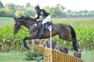 Auf dem Bild: Robin Godel platzierte seine beiden Pferde Big Diamond und Damaso dank zweier fehlerfreier Runden in der 3*-S-Prüfung auf den ersten beiden Plätzen. (equissima® - Alice de Laromiguière)