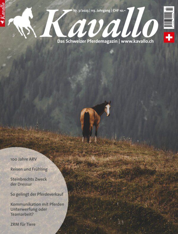 Titelbild Kavallo Ausgabe 03_2023