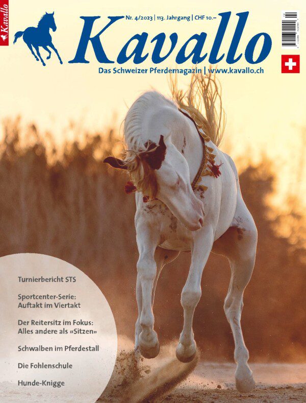 Einzelheft kaufen: Kavallo-Ausgabe April 2023