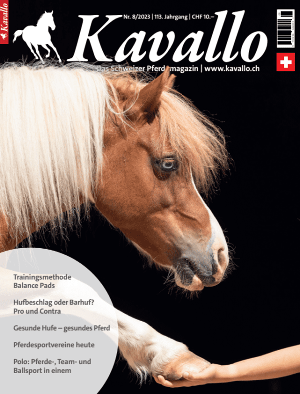 Einzelheft kaufen: Kavallo-Ausgabe August 2023