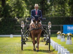Einzel-Gold, Einzel-Silber und Team-Silber ist die Ausbeute der Schweizer Ponyfahrer an der WM in Oirschot (NED)