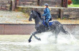 News und Hintergründe zum Schweizer Pferdesport