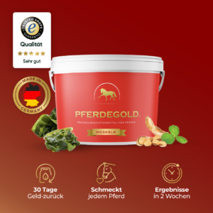 Pferdegold – nur das Beste