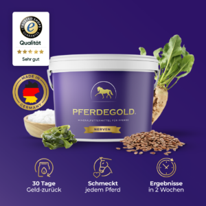 Pferdegold – nur das Beste