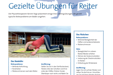 Equus Helveticus 2026: Avenches feiert ein grosses Fest des Schweizer Pferdesports