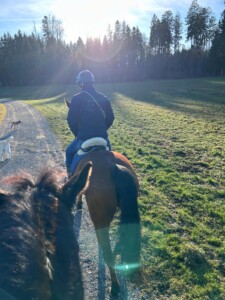 Weihnachts-Special: Professioneller Pferdeservice von Horse Soul