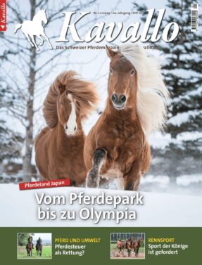 Kavallo-Digital Januar/Februar 2020 - Vom Pferdepark bis zu Olympia
