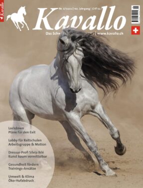 Kavallo-Digital 6 2020 – Der Lockdown-Exit