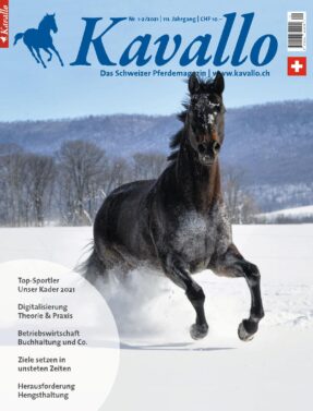 Einzelheft kaufen: Kavallo-Ausgabe Januar/Februar 2021 - Betriebswirtschaft