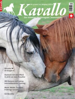 Einzelheft kaufen: Kavallo-Ausgabe April 2020