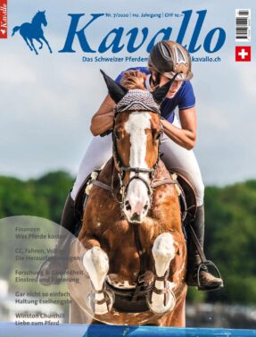 Einzelheft kaufen: Kavallo-Ausgabe Juli 2020