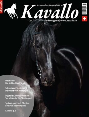Kavallo-Digital 3 2020 - Willkommen im Jahr 2020