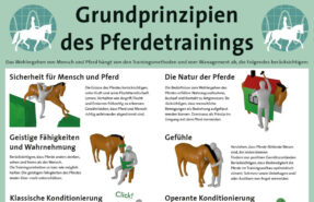 Prinzipien des Pferdetrainings