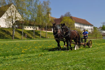 Gründer und Leiter des IENA ist gestorben