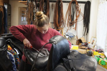 Wie geht gutes Weidemanagement?