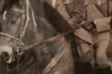 Gutes Reiten führt zum «Happy Horse»