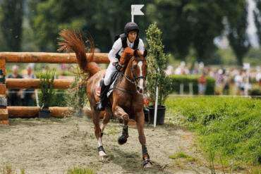 Von Abschirmen, Einsprayen bis Zudecken
