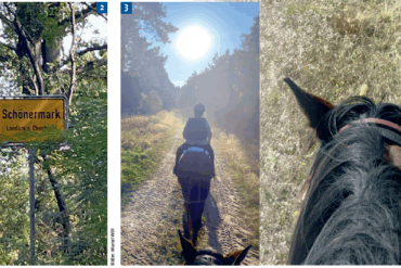 Von Abschirmen, Einsprayen bis Zudecken