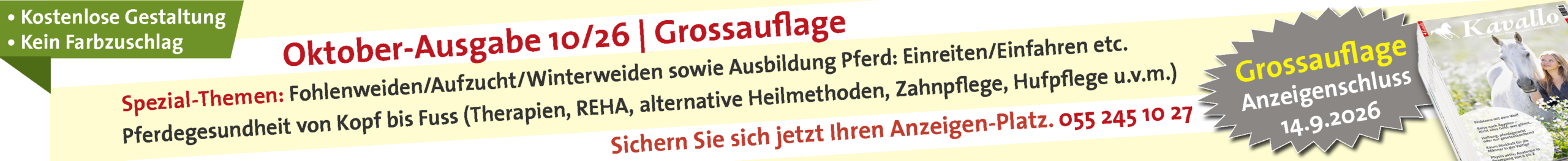 Grossauflage 2026