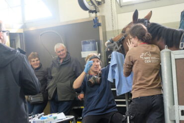 Vorschau Herbstrenntage — Zwei Renntage mit Stil, Spannung und Spitzenpferden