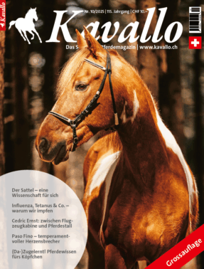 Einzelheft kaufen: Kavallo-Ausgabe Oktober 2025