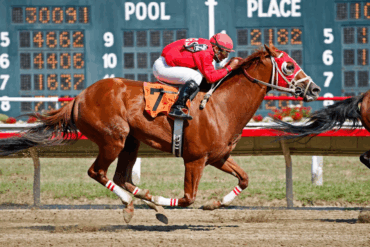Wenn das Pferd nicht mehr läuft – Schmerz als Ursache für schlechte Leistung
