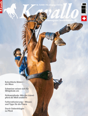 Einzelheft kaufen: Kavallo-Ausgabe November 2025