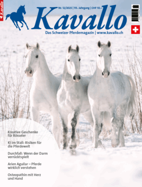 Kavallo-Digital Dezember 2025