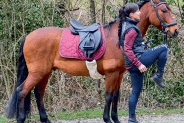 #CleverMitKavallo: Nur müde oder doch krank?