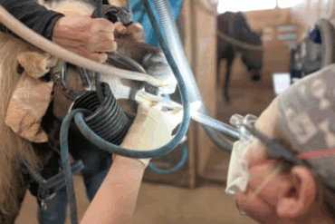 spoga horse 2026: das Epizentrum der Innovationen