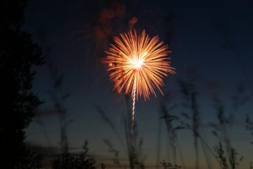 Weihnachten im Stall – ein ganz normaler besonderer Tag